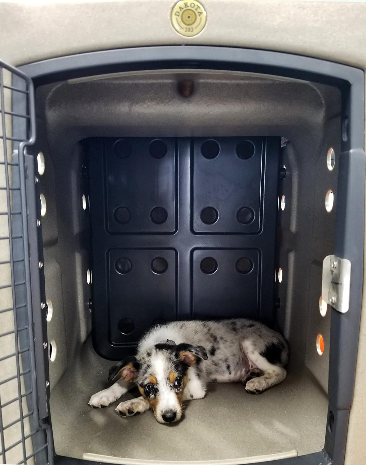 Dakota 283 Forever Insert Kennel Divider with Dakota Guard – Medium, Black Molded Plastic with Nylon Support Rods, Adjustable Ventilated 2-Piece Design