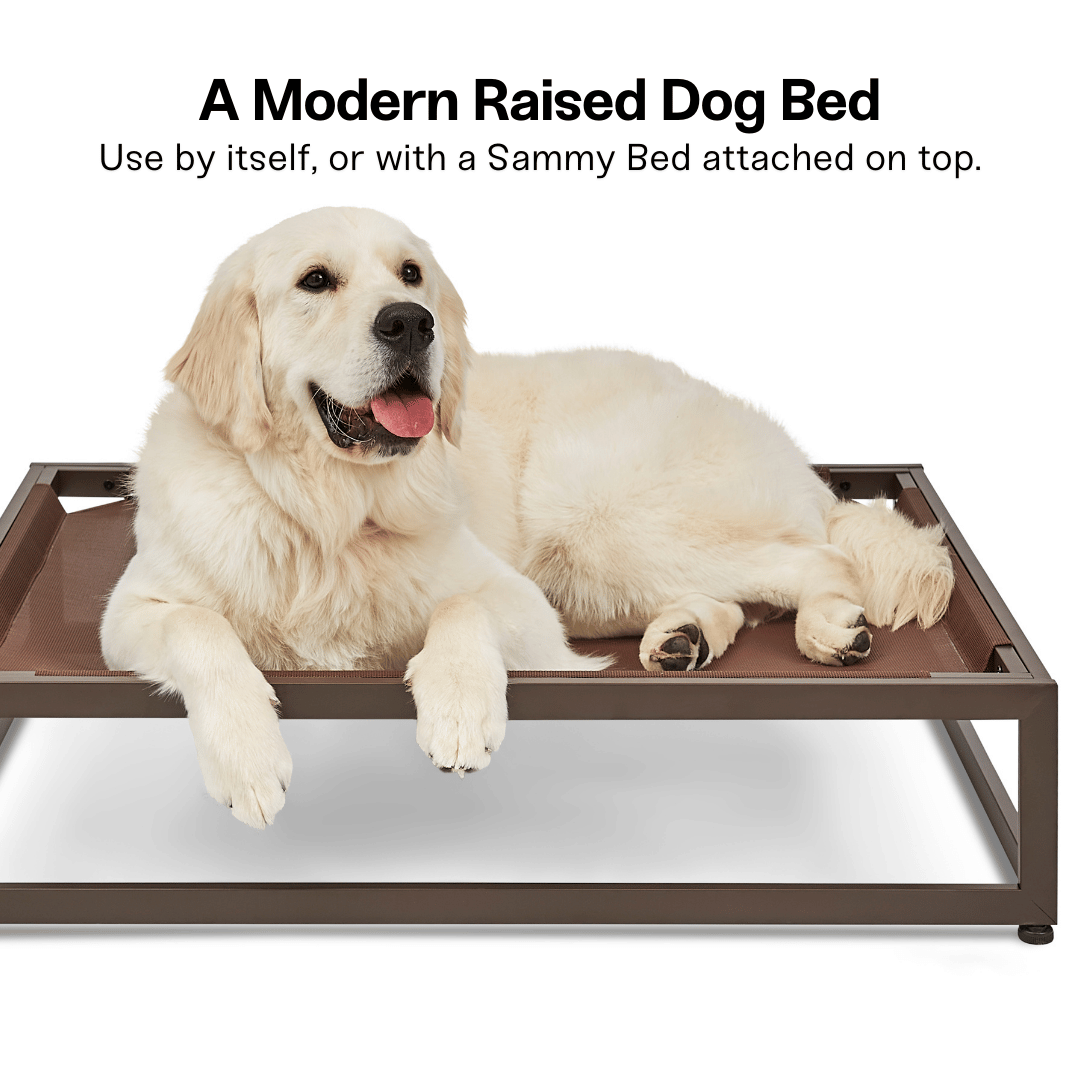 The Up Pup Dog Bed – Brown | Elevated Chew-Resistant Raised Dog Cot with Breathable Mesh & Rust-Proof Metal Frame (S/M/L)