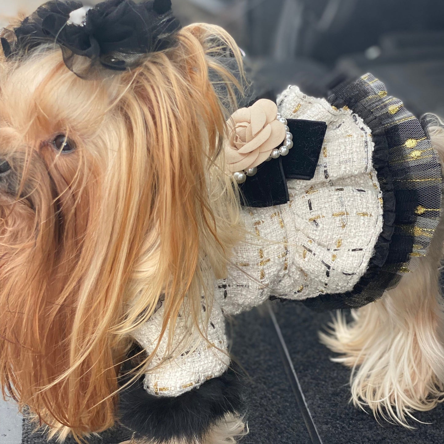 Designer Chanel-Inspired Tweed Dog Dress Coat – Handmade Luxury Dog Coat with Fur Trim, Lace & Tulle Skirt (S–2XL, Custom Sizes Available)