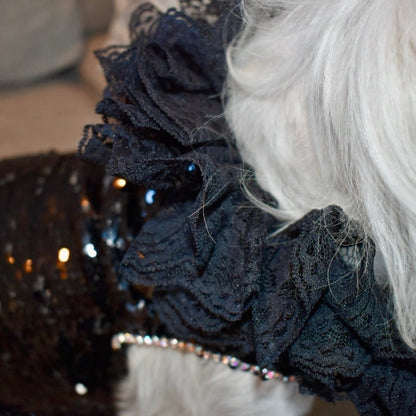 C’Mimi Designer Couture “Elektra” Dog Party Dress – Handmade Black Sequin & Lace Luxury Dress (XS–3XL, Custom Sizing Available, 6–8 Week Delivery)
