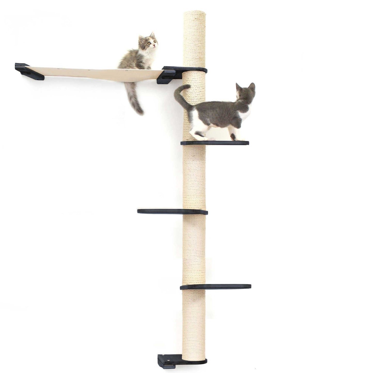 The Crow's Nest - A Wall Cat Scratcher with Hammock