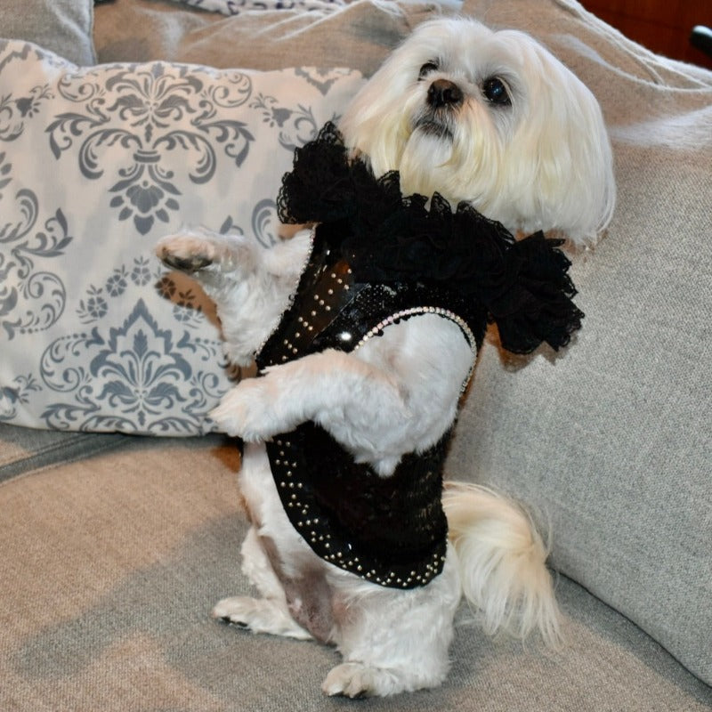 C’Mimi Designer Couture “Elektra” Dog Party Dress – Handmade Black Sequin & Lace Luxury Dress (XS–3XL, Custom Sizing Available, 6–8 Week Delivery)