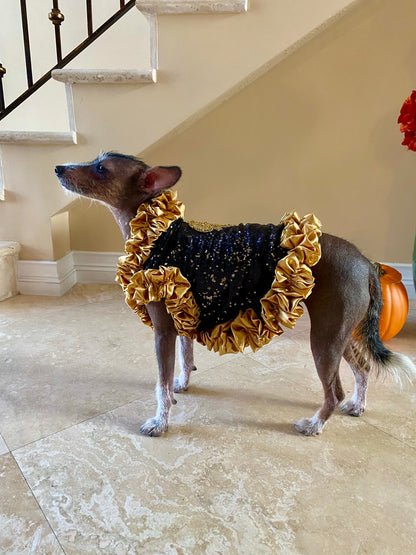 C’Mimi Designer Couture “Cleopatra” Dog Party Dress – Handmade Black & Gold Sequin Dress with Satin Ruffles and Bejeweled Appliqué (XS–3XL | Custom Sizes Available)
