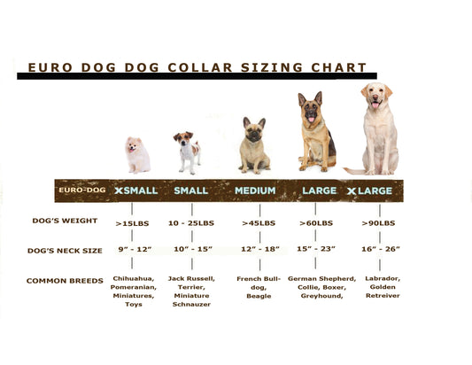 Bestseller Quick-Release Dog Collar – Coral Reef Full-Grain American Leather with European Steel Buckle, Adjustable Fit for All Breeds
