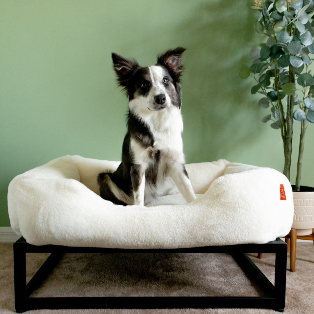 FÜZI Elevated Dog Bed – Luxury Bolster Top & Chew-Proof Metal Platform
