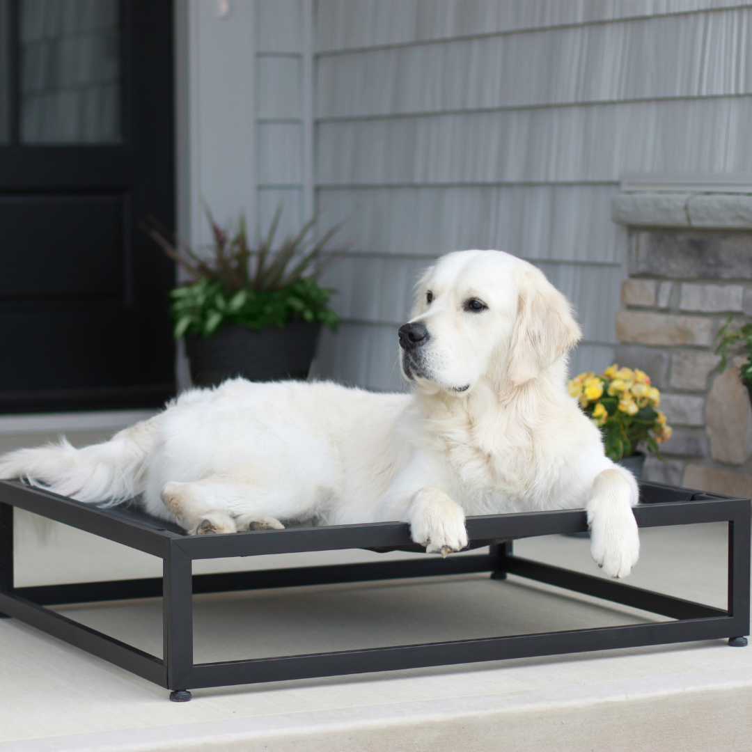 The Up Pup Dog Bed | Elevated Chew-Resistant Raised Dog Cot with Breathable Mesh & Rust-Proof Metal Frame (S–XL)