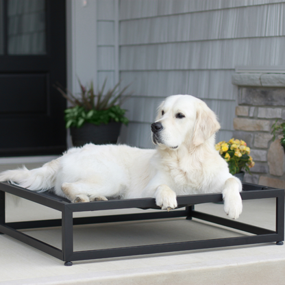 The Up Pup Dog Bed | Elevated Chew-Resistant Raised Dog Cot with Breathable Mesh & Rust-Proof Metal Frame (S–XL)