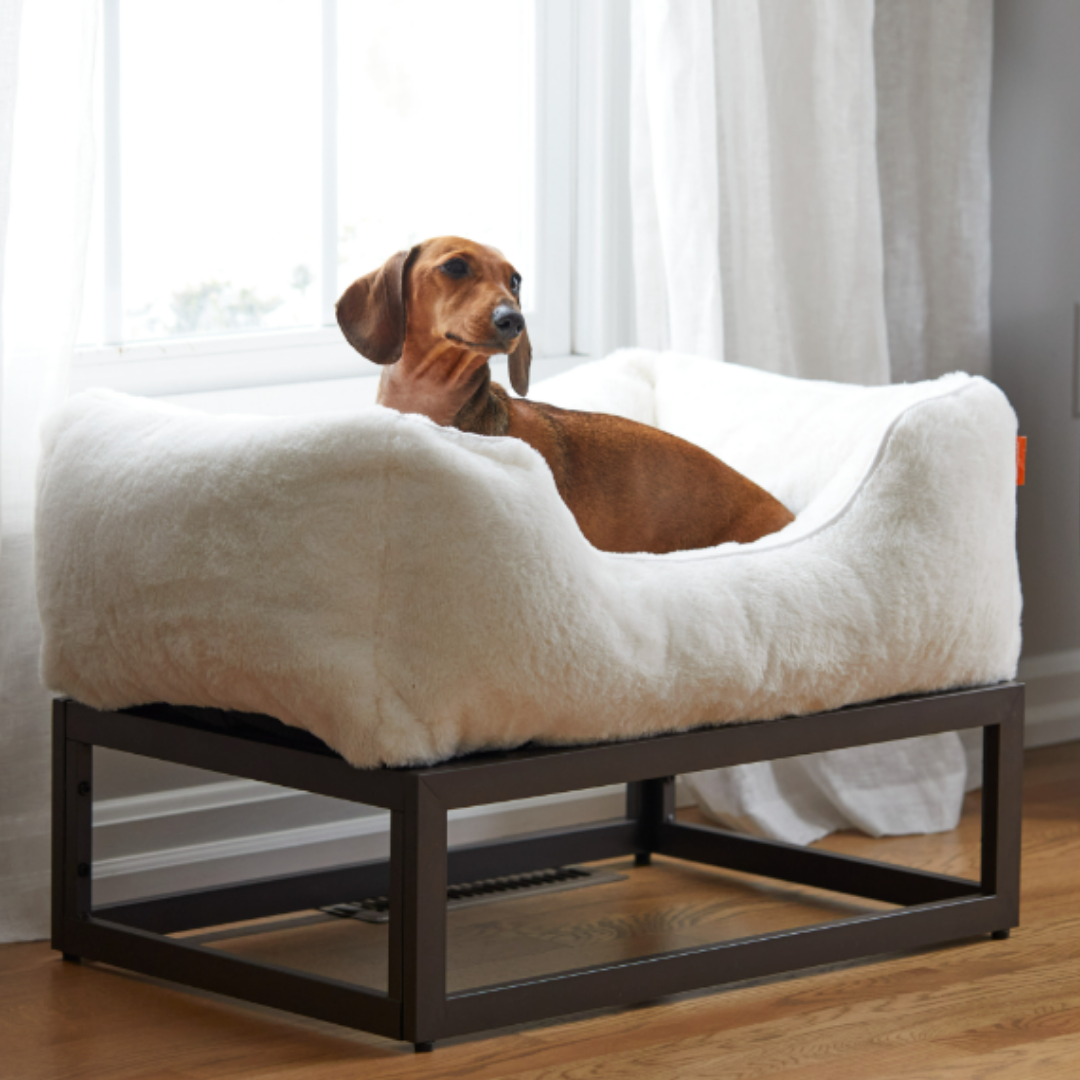 FÜZI Elevated Dog Bed – Soft White Bolster & Dark Brown Metal Base