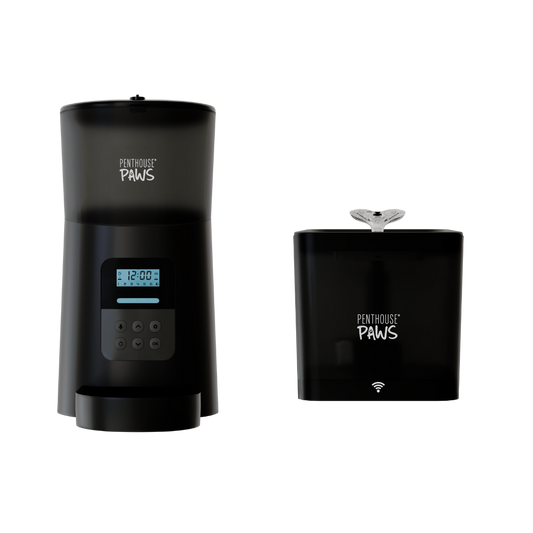 Automatic Cat Feeder & Smart Water Fountain – 6L Programmable Pet Feeder with Portion Control, Voice Recording & Twist-Lock Storage + 2.2L App-Controlled BPA-Free Water Dispenser with 5-Level Filtration