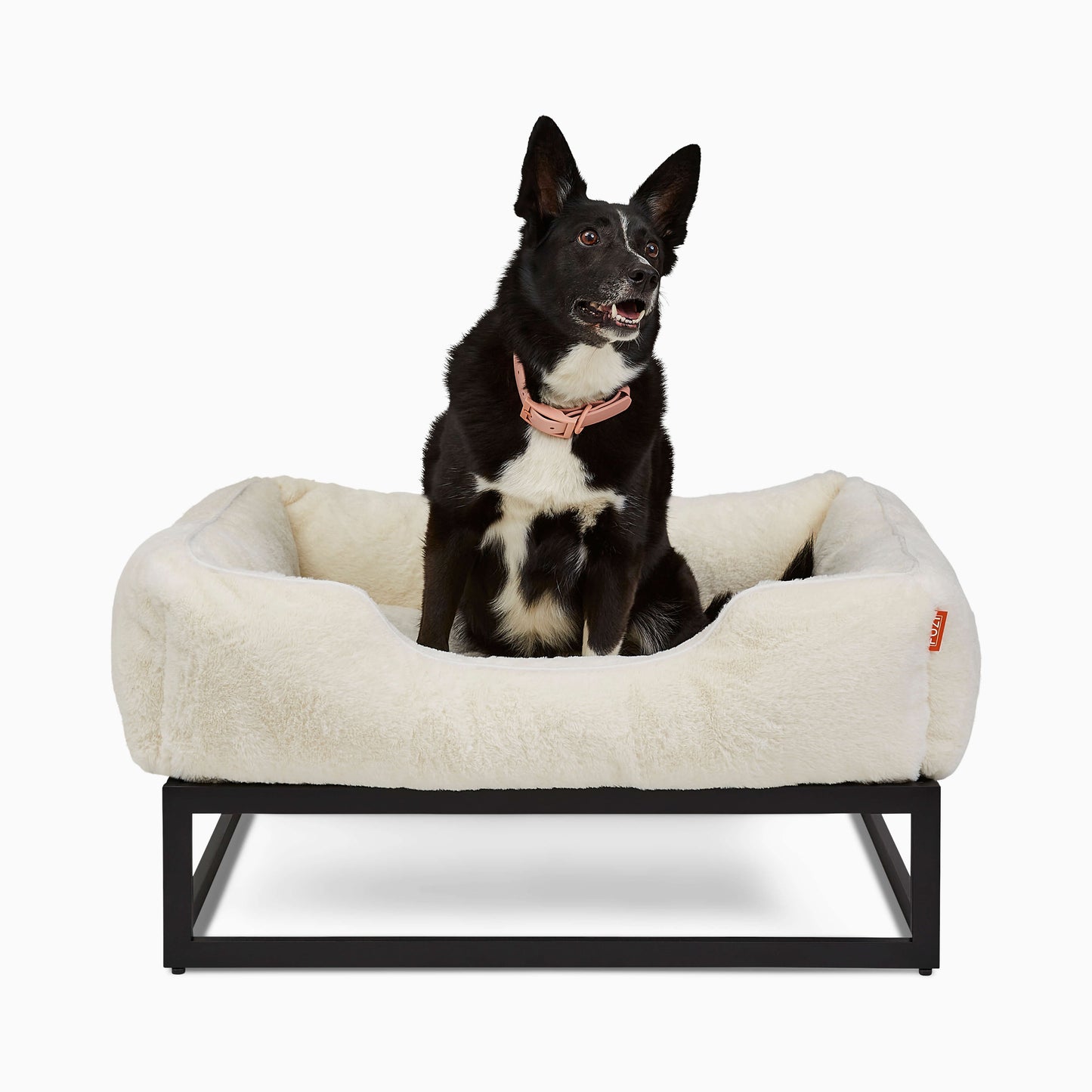 FÜZI Elevated Dog Bed – Luxury Bolster Top & Chew-Proof Metal Platform