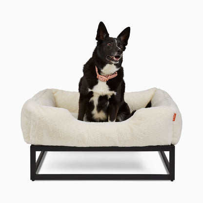 FÜZI Elevated Dog Bed – Luxury Bolster Top & Chew-Proof Metal Platform