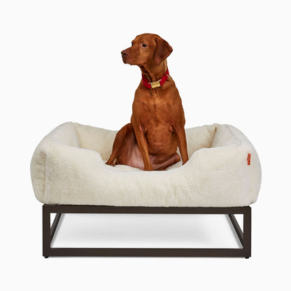 FÜZI Elevated Dog Bed – Soft White Bolster & Dark Brown Metal Base
