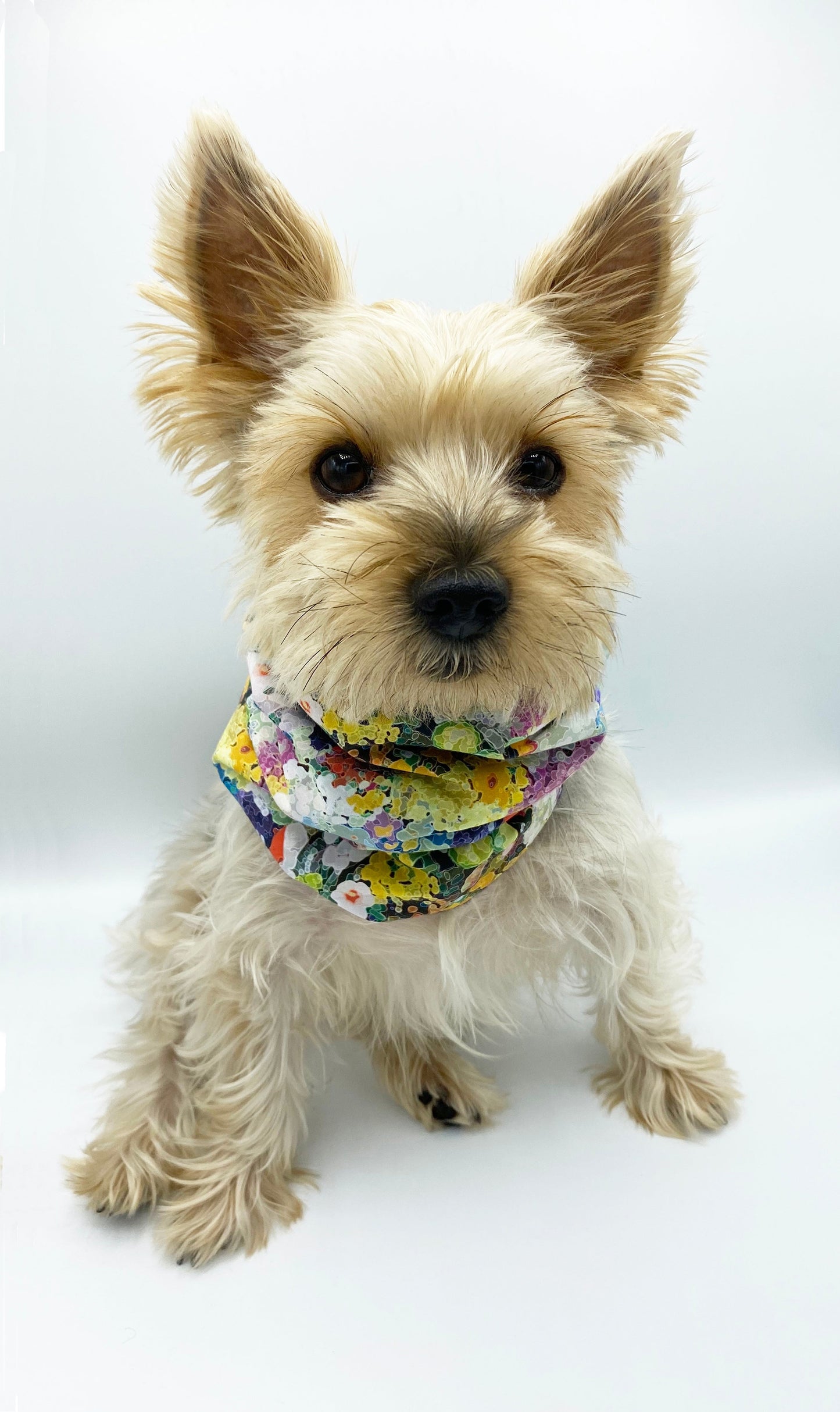 Brett Reversible Pet Snood | Cozy Cotton Flannel Dog Neck Warmer