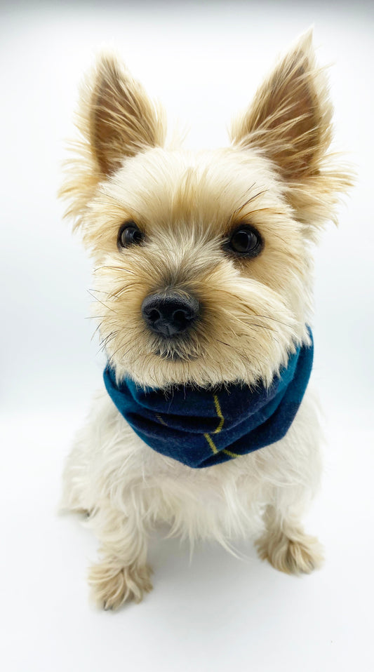 Blair Reversible Pet Snood | Dual-Sided Cotton Flannel Dog Neck Warmer