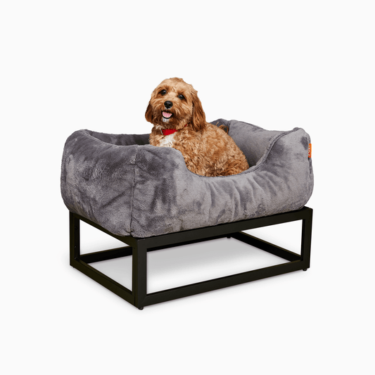 FÜZI Elevated Dog Bed – Dark Grey Bolster & Black Metal Base