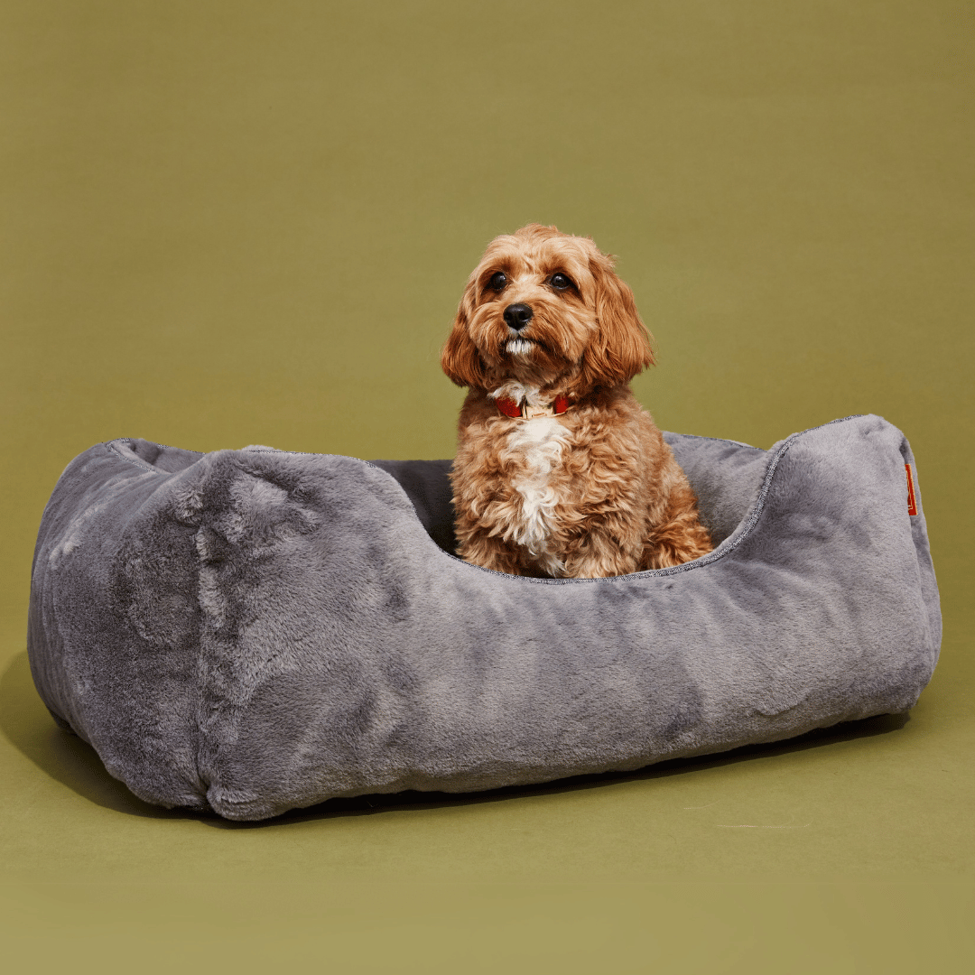 The Sammy Dog Bed – Dark Grey | Faux Fur Bolster Bed with Chew-Resistant Inserts & Washable Cover (S/M/L)