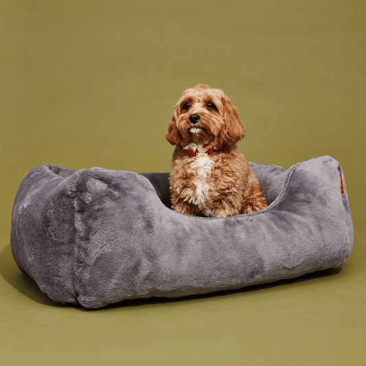 The Sammy Dog Bed – Dark Grey | Faux Fur Bolster Bed with Chew-Resistant Inserts & Washable Cover (S/M/L)