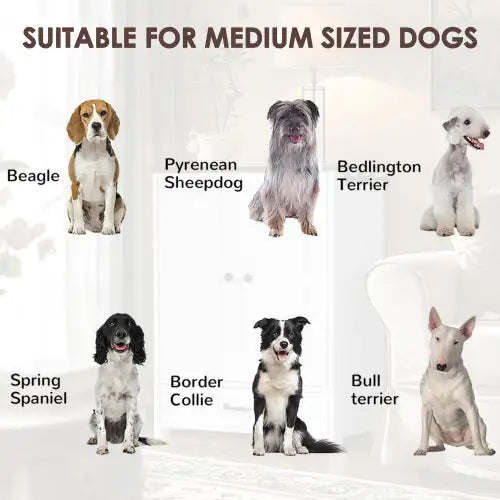 Pawfect Station Dual-Bowl Dog Feeder with Storage & Hooks – Elevated Pet Feeding Stand (White/Walnut)