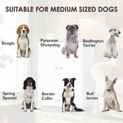 Pawfect Station Dual-Bowl Dog Feeder with Storage & Hooks – Elevated Pet Feeding Stand (White/Walnut)