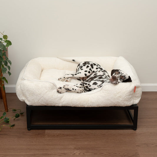 FÜZI Elevated Dog Bed – Luxury Bolster Top & Chew-Proof Metal Platform