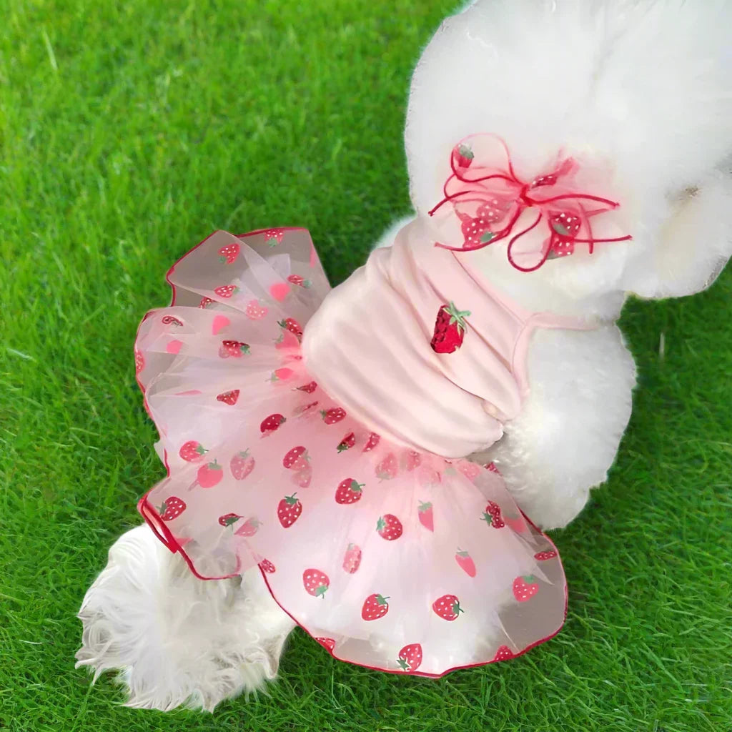 Cute Strawberry Dog Dress – Pink Tulle Summer Outfit for Small Dogs & Puppies (XS–XL)