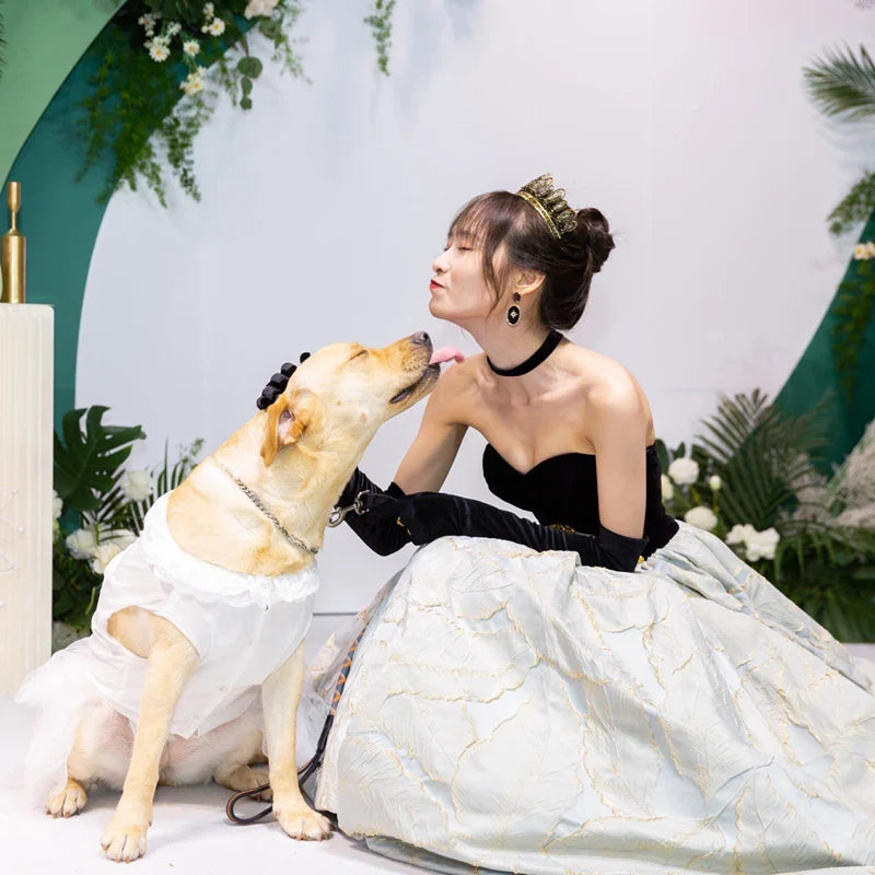 Big Dog Wedding Dress – Elegant Lace & Tulle Gown with Bow and Frilly Neckline, Perfect for Flower Dogs or Special Occasions (White or Pink, Sizes M–5XL)