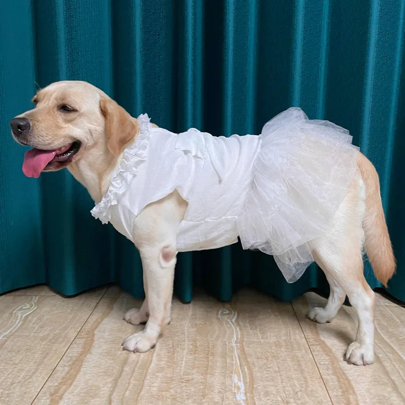 Big Dog Wedding Dress – Elegant Lace & Tulle Gown with Bow and Frilly Neckline, Perfect for Flower Dogs or Special Occasions (White or Pink, Sizes M–5XL)