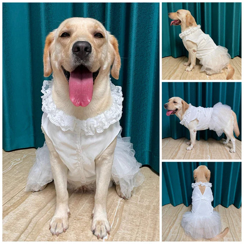 Big Dog Wedding Dress – Elegant Lace & Tulle Gown with Bow and Frilly Neckline, Perfect for Flower Dogs or Special Occasions (White or Pink, Sizes M–5XL)
