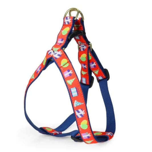 Up Country Birthday Gift Dog Harness & Leash Matching Set – Made in USA Adjustable Step-In Harness with Matching 5-ft Leash, Cast Brass Hardware, Machine Washable, Coast Guard-Approved Buckles (Small–Large Dogs)