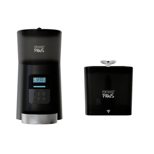 Automatic Cat Feeder & Smart Water Fountain – 6L Programmable Pet Feeder with Portion Control, Voice Recording & Twist-Lock Storage + 2.2L App-Controlled BPA-Free Water Dispenser with 5-Level Filtration