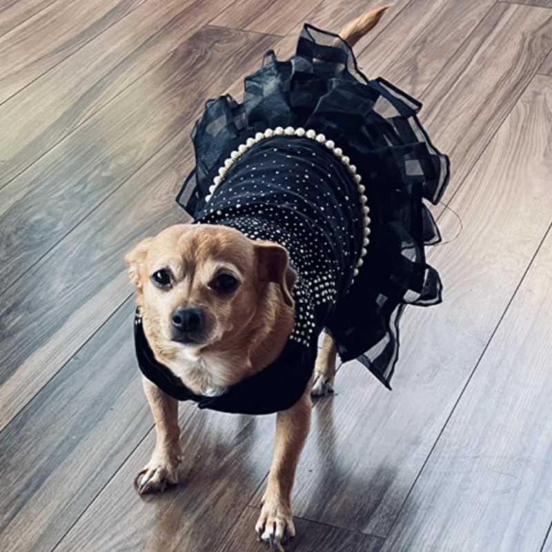 Bling Black Dog Party Dress – Elegant Lace & Pearl Tulle Dress for Small Dogs | Posh Dog Life