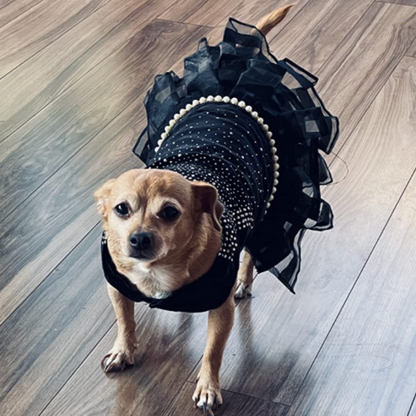 Bling Black Dog Party Dress – Elegant Lace & Pearl Tulle Dress for Small Dogs | Posh Dog Life