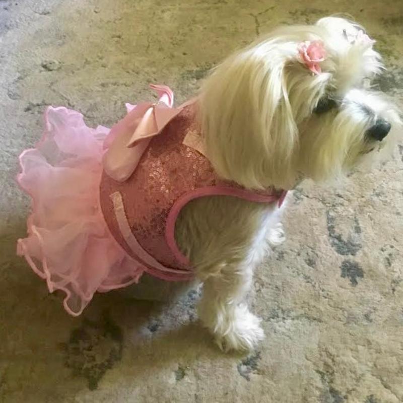 Bling Dog Harness Dress & Leash Set – Rhinestone-Embellished Harness Dress with Satin Bow, Breathable Mesh & Tulle Skirt, Adjustable Fit with Velcro & Buckles, Matching 5-ft Leash (Pink or Black, Small Dogs)