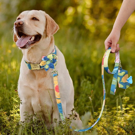 Blue Flower Dog Collar & Leash Set with Matching Poop Bag Case – Personalized Free Engraving, Adjustable Nylon Floral Collar with Gold Hardware & Detachable Flower, Matching 5-ft Leash (S–L, Small–Large Dogs)