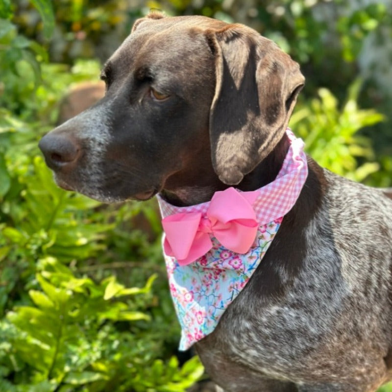 Cherry Blossoms Bandana Dog Collar with Bow – Handmade in USA by Chloe & Max, 100% Cotton Bandana Collar with Pink Gingham Trim & Bow, Available in 5 Sizes (XS–XL)
