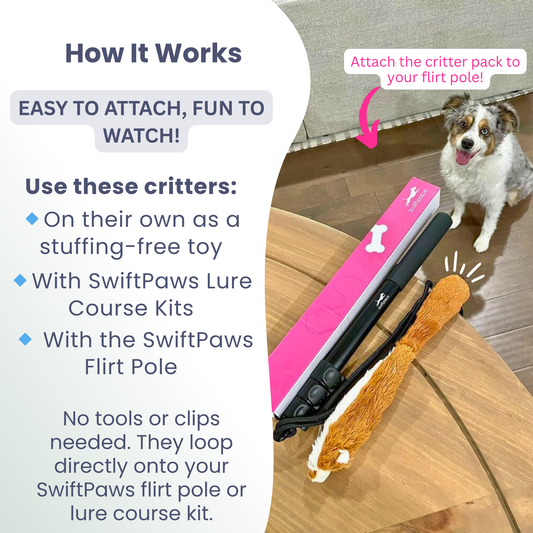 Critter Pack | Stuffing-Free Squirrel, Rabbit & Skunk Toys for Interactive Dog Play