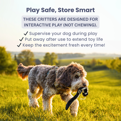 Critter Pack | Stuffing-Free Squirrel, Rabbit & Skunk Toys for Interactive Dog Play