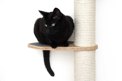 The Crow's Nest - A Wall Cat Scratcher with Hammock