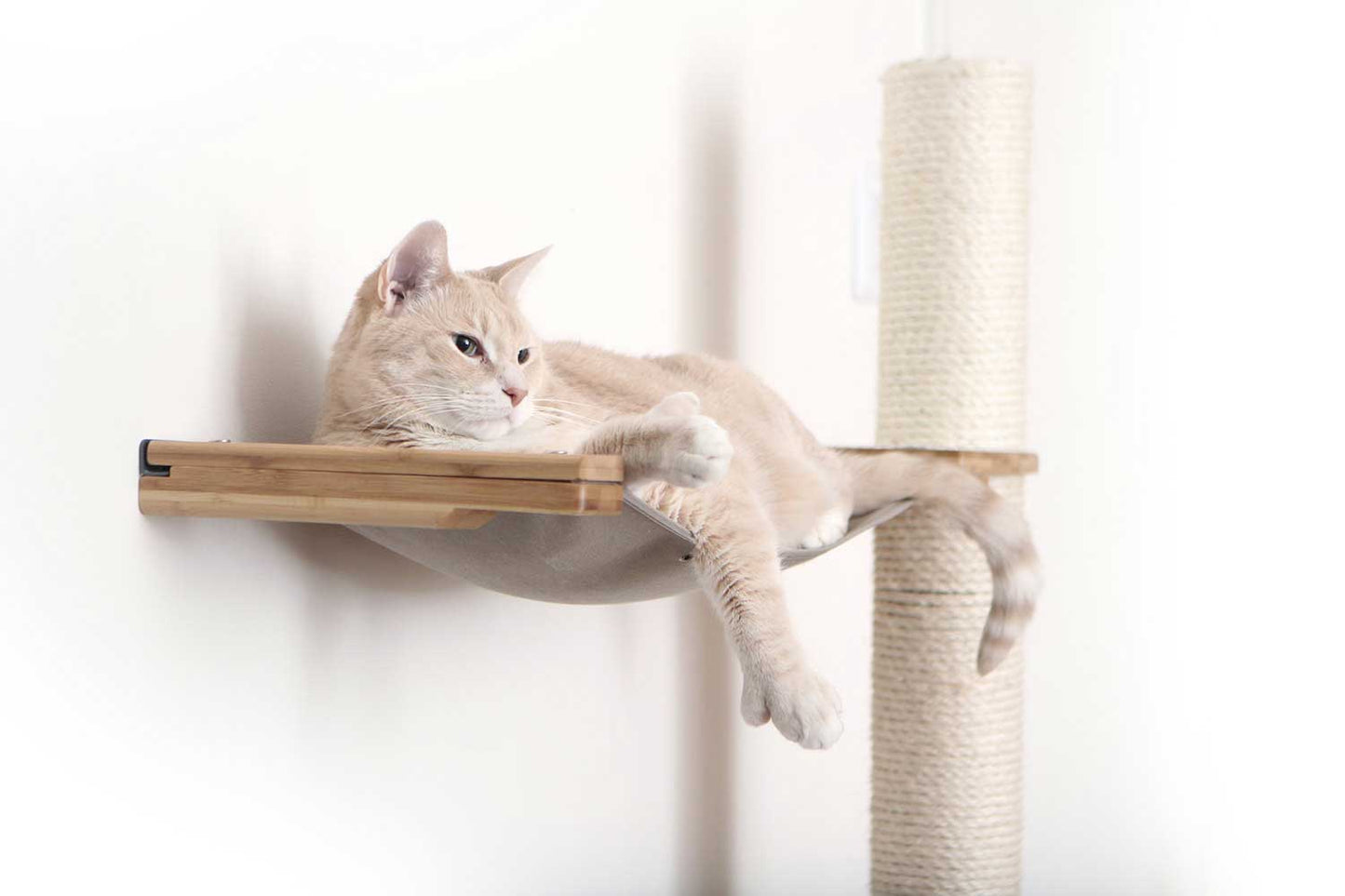 The Crow's Nest - A Wall Cat Scratcher with Hammock