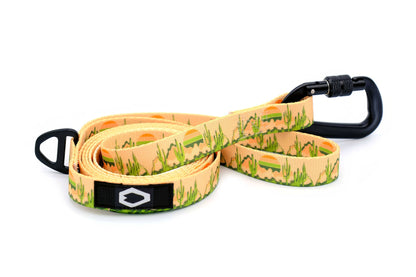 Outdoor Style Cactus Cream Nylon Dog Leash – Soft, Durable Design with Locking Aluminum Carabiner and Bottle-Opening D-Ring