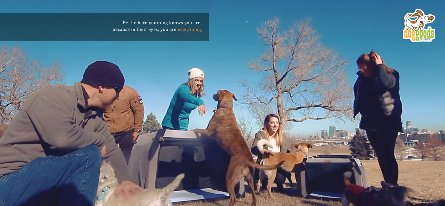 The Foldable Travel Dog Crate By DogGoods ™