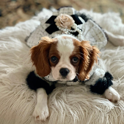 Designer Chanel-Inspired Tweed Dog Dress Coat – Handmade Luxury Dog Coat with Fur Trim, Lace & Tulle Skirt (S–2XL, Custom Sizes Available)