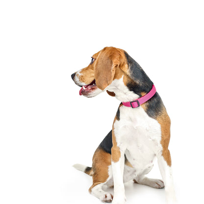 City Dog Collar “Park Ave Pink” – Luxury Dogistry Fabric with Soft Neoprene Padding, Adjustable Fit in 3 Sizes