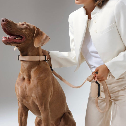 Dogistry City Adjustable-Length Hands-Free Dog Leash – Dune Beige with 2–5 ft Range, Dual Width Options, and Award-Winning Comfort Design