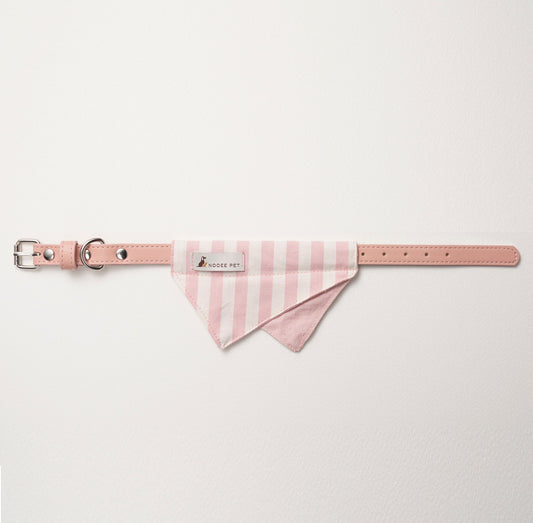 Nooee Pet Collar Daisy