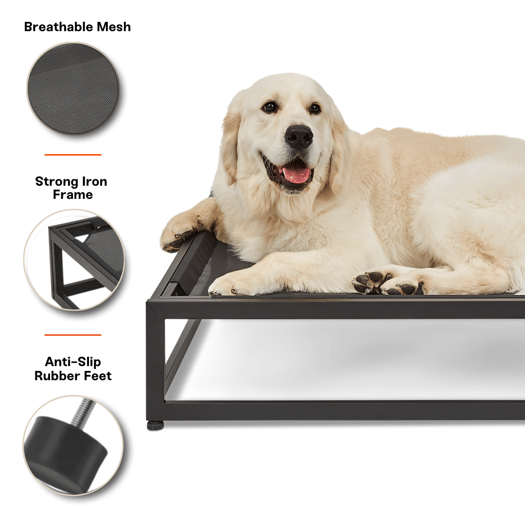 The Up Pup Dog Bed – Brown | Elevated Chew-Resistant Raised Dog Cot with Breathable Mesh & Rust-Proof Metal Frame (S/M/L)