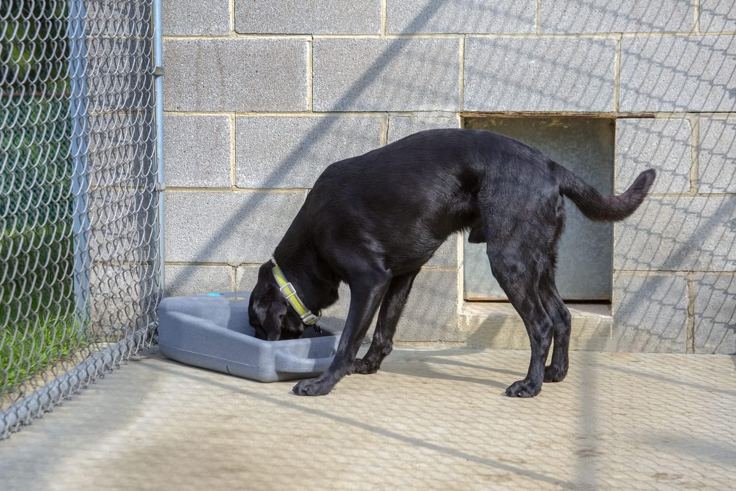 Dakota 283 Dash 3.5 Dog Watering System with Dakota Guard Antimicrobial – Coyote Granite, Dark Granite, Olive & Orange