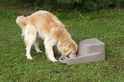 Dakota 283 Dash 5.0 Dog Watering System with Dakota Guard Antimicrobial – Coyote Granite, Dark Granite, Olive & Orange