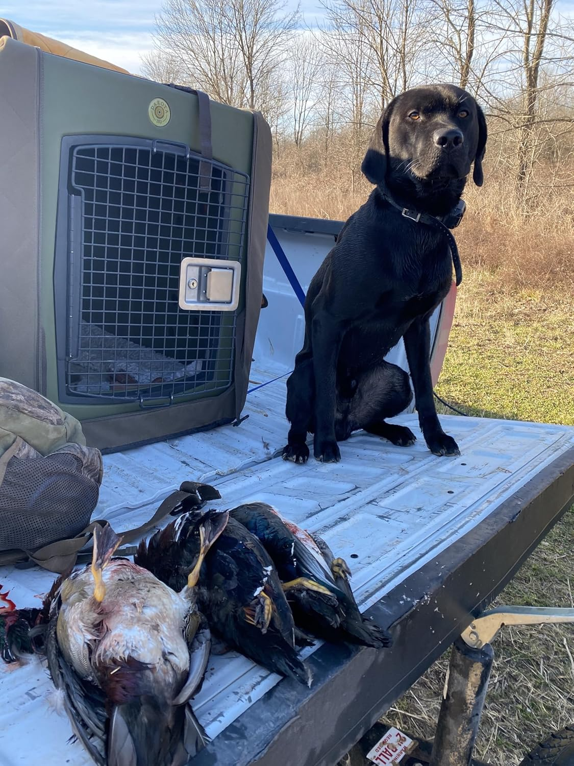 Dakota 283 G3 X-Large Framed Door Dog Kennel with Dakota Guard Antimicrobial – Coyote Granite & Dark Granite