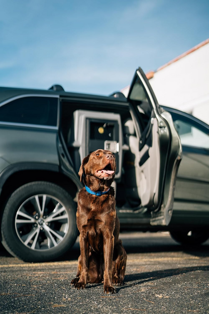 Dakota 283 Hero Dog Kennel with Dakota Guard Antimicrobial – Coyote Granite & Dark Granite